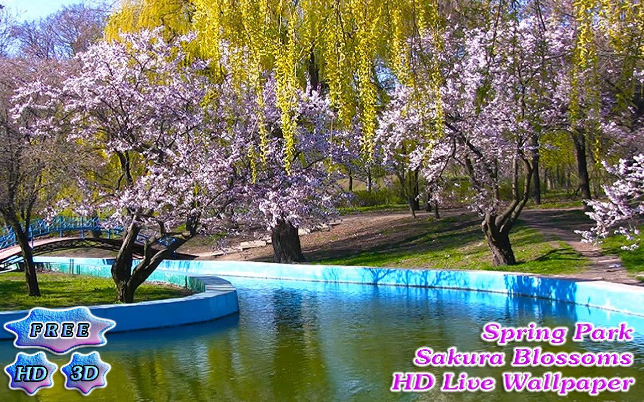 3D Spring Park Sakura Free截图6