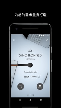 Dyson Link截图