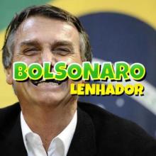 Bolsonaro Lenhador截图4