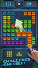 Block PuzzleGem Star截图4