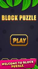 Brick Block Puzzle  Jewel Puzzle Games 2019截图1