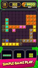 Brick Block Puzzle  Jewel Puzzle Games 2019截图5