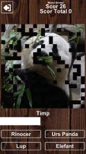 Guess The Animal - Romanian - Free Learning Game截图4