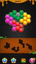 Classic Hexa Block截图3