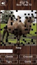 Guess The Animal - Romanian - Free Learning Game截图1