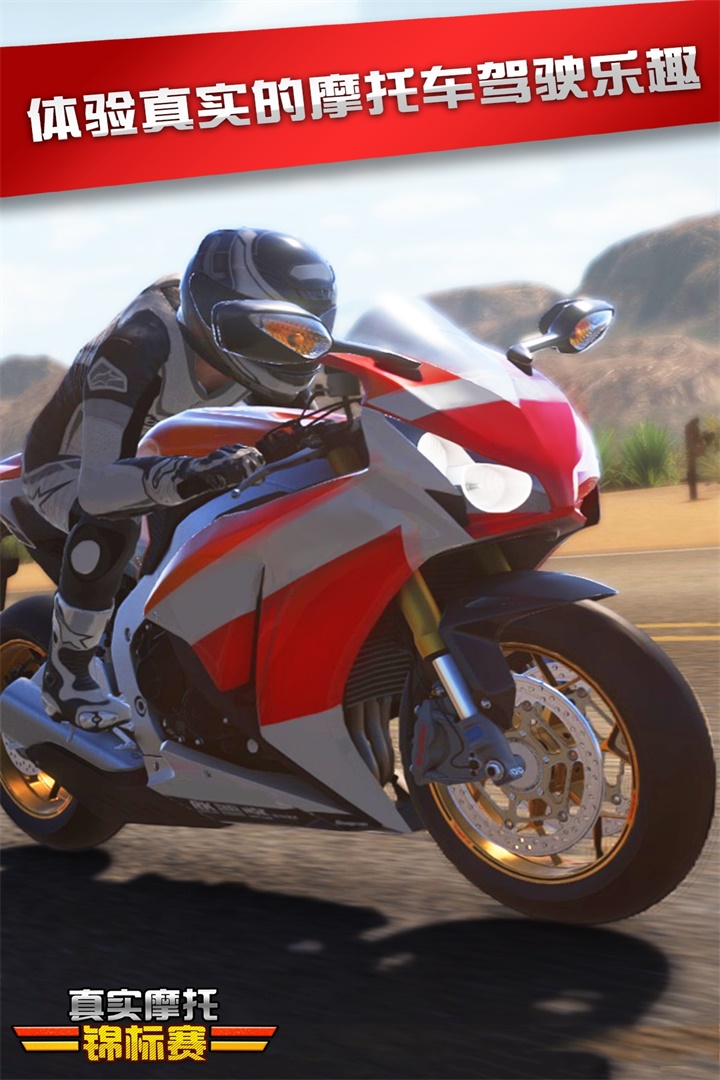 真實摩托錦標賽截圖預(yù)覽
