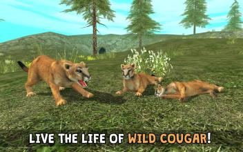 Wild Cougar Sim 3D截图5