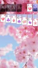 Solitaire Pink Blossom截图5