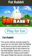 Fat Rabbit free  demo截图4