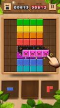 Wood Color Block: Puzzle Game截图5