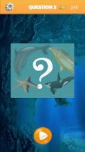 quizz animaux aquatiques截图1