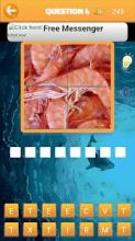 quizz animaux aquatiques截图4