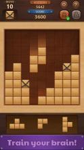 Block Puzzle Wood 2019截图5