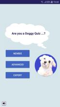 Adopt a Doggy Quiz  find a cute shelter dog截图1