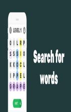 Search for words截图1