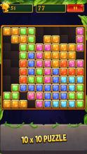 Block Puzzle Quest  Jewel Jungle截图3