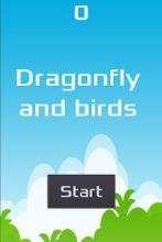 Dragonfly and birds截图2