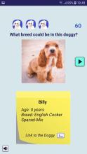 Adopt a Doggy Quiz  find a cute shelter dog截图4