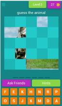 Animal universe  guess the animal截图1