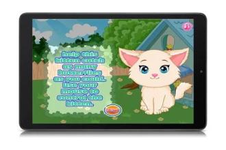 Games care cat - games girls截图2