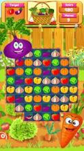 Vegetable Farm Splash Mania截图1