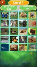 Pet Animal Quiz (Wonder Zoo) Kids Free Game截图5