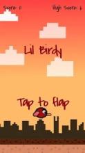 Lil Birdy - Tap to Flap截图4