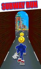 Subway Hedgehog Adventure Dash Runner jump Game截图1