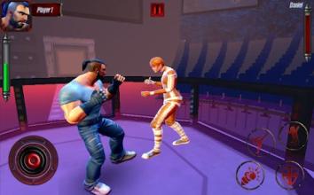 Real Punch Boxing: Kung Fu karaty Star截图1