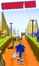 Subway Hedgehog Adventure Dash Runner jump Game截图2