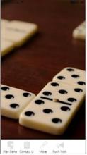 Happy Domino Block截图5