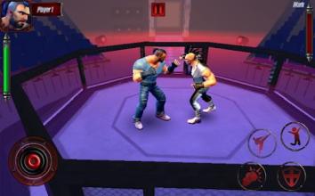 Real Punch Boxing: Kung Fu karaty Star截图3