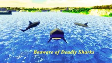 Underwater shark hunter: Angry Shark Hunting截图2