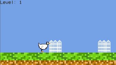 Duck Jump Pond截图5