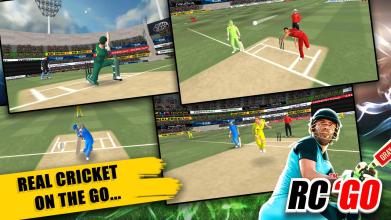 Real Cricket™ GO截图4