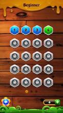 Hexa Puzzle Deluxe截图4