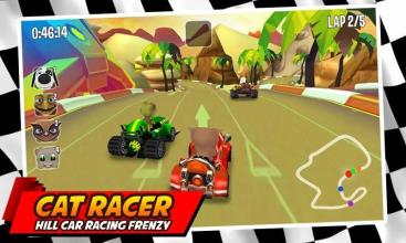 Cat Racer * Hill Car Racing Frenzy截图2