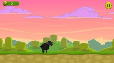 black sheep game截图5