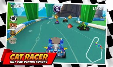 Cat Racer * Hill Car Racing Frenzy截图3