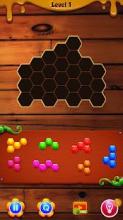 Hexa Puzzle Deluxe截图2