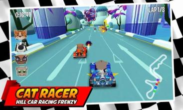 Cat Racer * Hill Car Racing Frenzy截图1