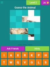 Hidden Animals Quiz截图4