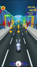 Animal Road Run For Fun截图2