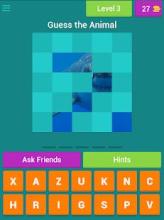 Hidden Animals Quiz截图3