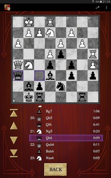 国际象棋简约版截图