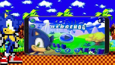 classic the Hedgehogfree game adventure截图5