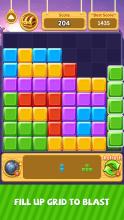 Blocks Blast  Puzzle截图4