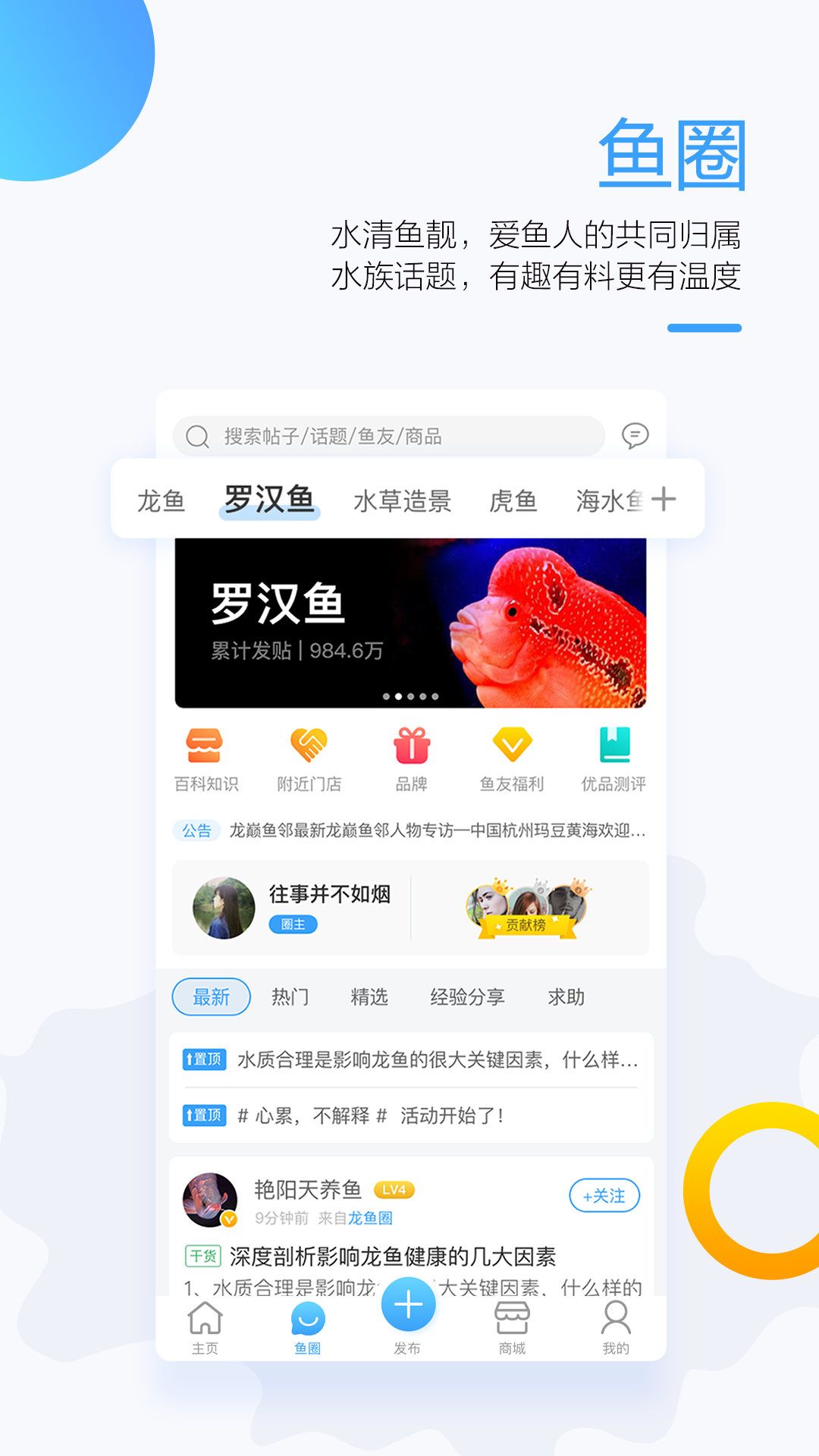 龙巅鱼邻v3.0.0截图3