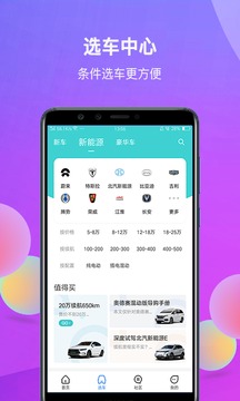 網(wǎng)上車市截圖