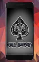 Call Bridge Spades Card截图2